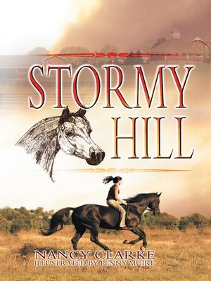 cover image of Stormy Hill
